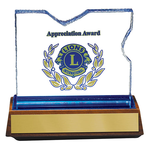 APPRECIATION AWARD