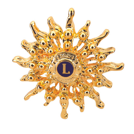 WOMENS SUNBURST PIN