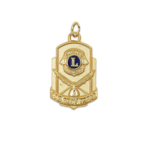 DISTRICT OFFICER MEDAL